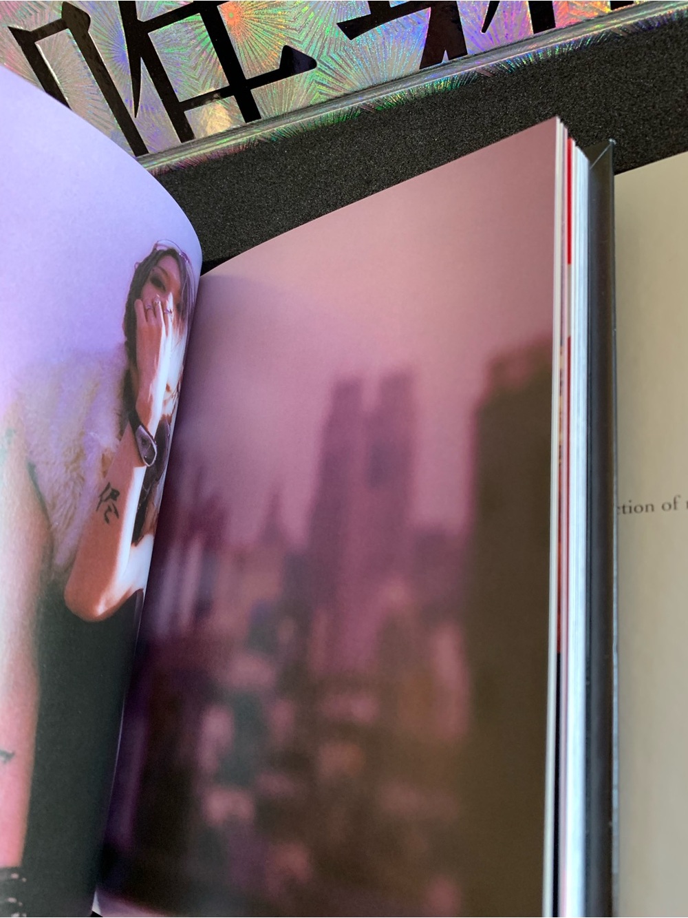 Miyavi - The Rise to Success (Borrowed) Live Venue Limited DVD & Photobook - Picture 8 of 13